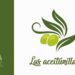 Alojamientos turísticos en Úbeda