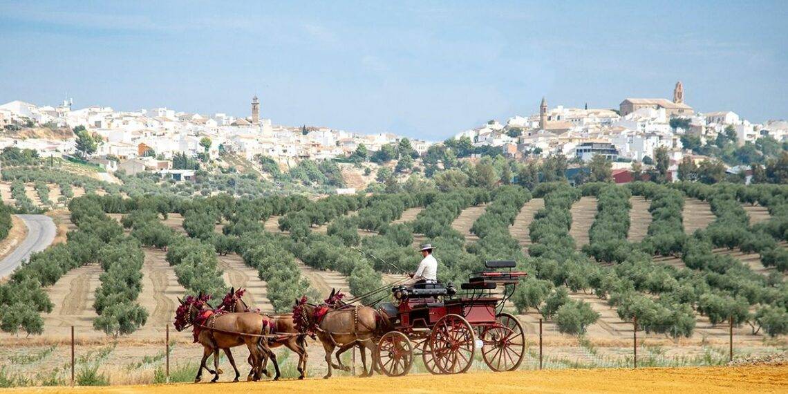 Centro ecuestre Jaén