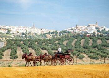 Centro ecuestre Jaén